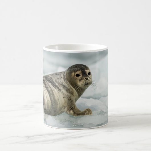 Mug Bébé Phoque Précieux (Centre)