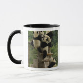 Mug Bébés de panda géant (Ailuropoda melanoleuca) (Gauche)
