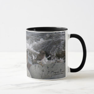 Mug Bécasseau de roche (ptilocnemis de Calidris)
