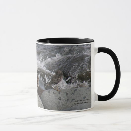 Mug Bécasseau de roche (ptilocnemis de Calidris) (Droite)