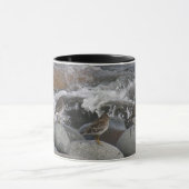 Mug Bécasseau de roche (ptilocnemis de Calidris) (Centre)