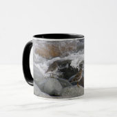 Mug Bécasseau de roche (ptilocnemis de Calidris) (Devant gauche)