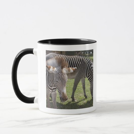 Mug Bedfordshire, Angleterre (Gauche)