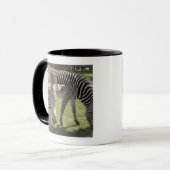 Mug Bedfordshire, Angleterre (Devant gauche)