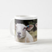Mug Bêê . .  (Devant gauche)