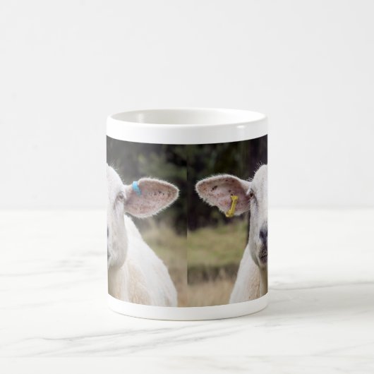 Mug Bêê . . (Centre)
