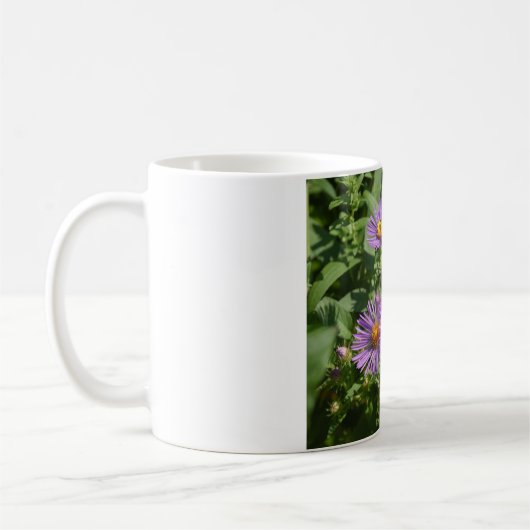 Mug Bees Working On Aster Blossoms (Gauche)