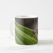 Mug Beetle 01 (Devant gauche)