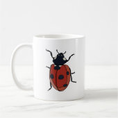 Mug Beetles Insectes Ladybug Beetles (Gauche)