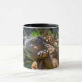 Mug Belizean Orange Iguana - Art photographique (Centre)