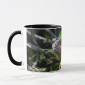 Mug Belizean Orange Iguana - Art photographique (Gauche)