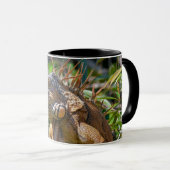 Mug Belizean Orange Iguana - Art photographique (Devant droit)
