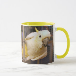 Mug Bella boy