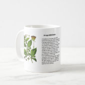 Mug Belladone d'atrope (Devant gauche)