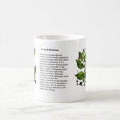 Mug Belladone d'atrope (Centre)