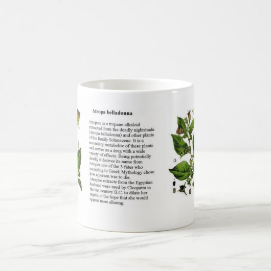 Mug Belladone d'atrope (Centre)