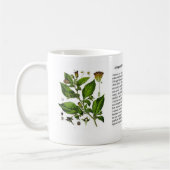 Mug Belladone d'atrope (Gauche)