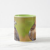 Mug Belle Buse à queue rousse (Centre)