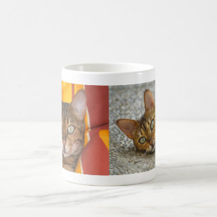 Mug Belle Chat Bengale