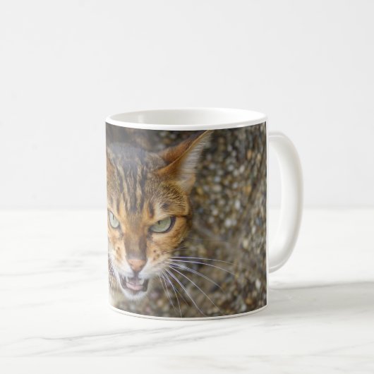 Mug Belle Chat Bengale (Devant droit)