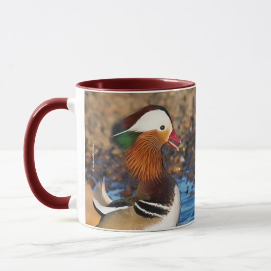 Mug Belle Chatty Mandarin Canard sur les rochers (Gauche)