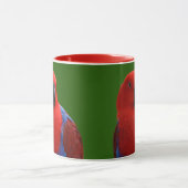 Mug Belle "Dame en rouge" Eclectus Parrot (Centre)