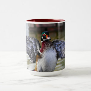 Mug Belle frapper Bois Canard Floride Photographie