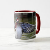 Mug Belle frapper Bois Canard Floride Photographie (Devant droit)