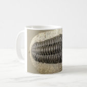 Mug Belle photo de fossile de trilobite de Phacops (Devant gauche)
