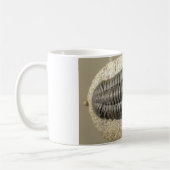 Mug Belle photo de fossile de trilobite de Phacops (Gauche)