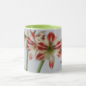 Mug Belles fleurs Amaryllis et coutume+nom (Centre)