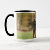 Mug Berger allemand en course (Gauche)