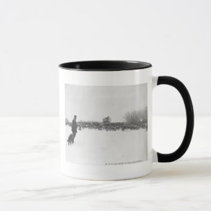 Mug Berger et chien au camp de moutons