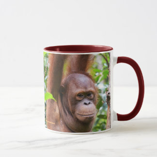 Mug Bernie Orangutan