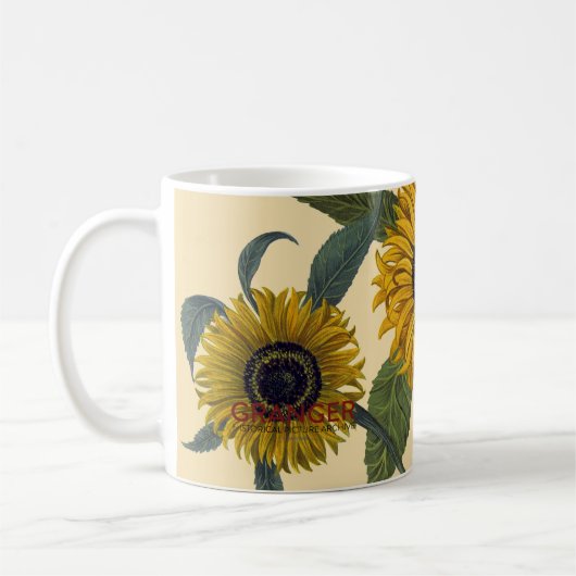 Mug Besler : Tournesol (Gauche)