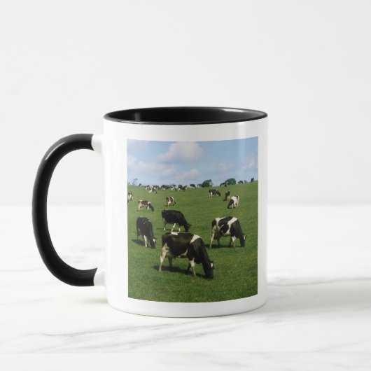 Mug Bétail de frison du Holstein, Irlande (Gauche)