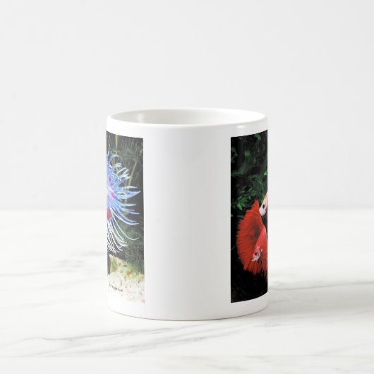 Mug Betta (Centre)
