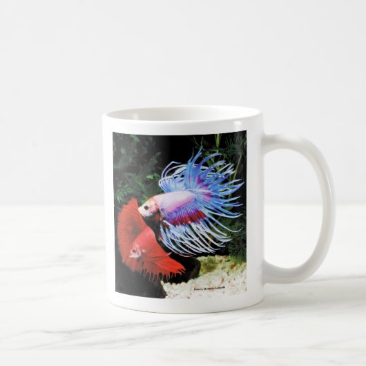 Mug Betta (Droite)