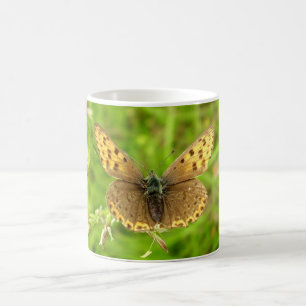 Mug Beurre de papillon de cuivre à bords pourpres