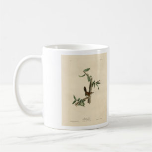 Mug Bewick's Wren de Audubon's Birds of America