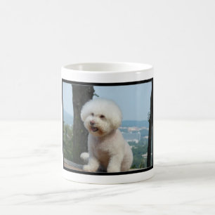 Mug Bichon Frise