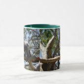 Mug Big Homme Australian Koala Bear, (Centre)