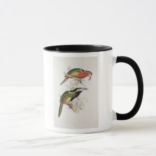 Mug Bill repéré Aracari, 19ème siècle