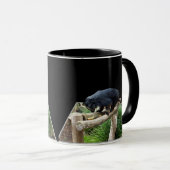 Mug Binturong (Bearcat) Se Trouvant Sur Un Journal, (Devant droit)
