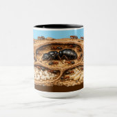 Mug Biologie de la colonie de fourmis (Centre)