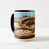 Mug Biologie de la colonie de fourmis (Devant gauche)