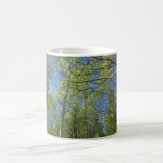 Mug Birch Trees d'été à Rocky Mountain (Centre)