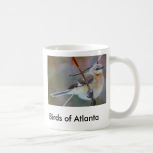 Mug bird1, oiseaux d'Atlanta