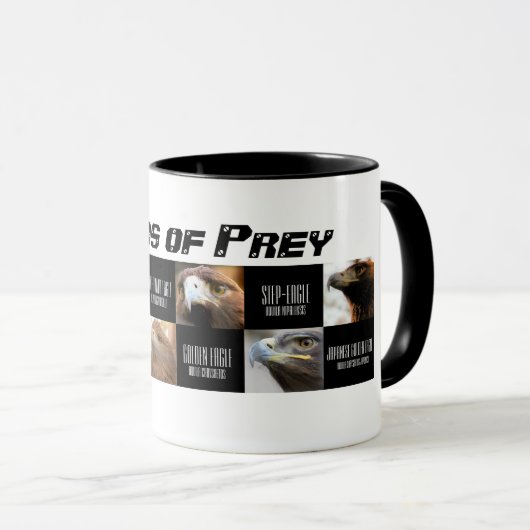 Mug Birds of Prey (Devant droit)
