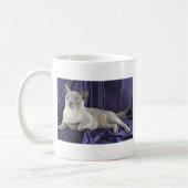 Mug Birman, lilas (Gauche)